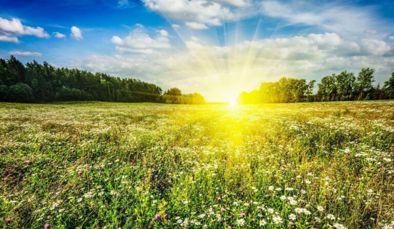 afternoon blessing