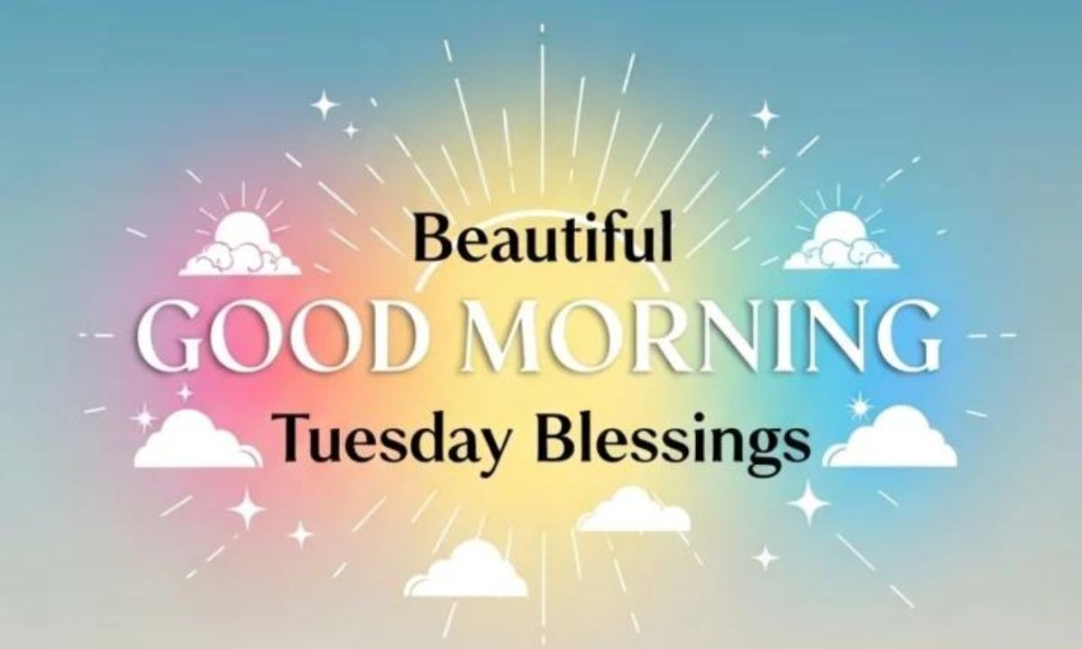 _Tuesday morning 