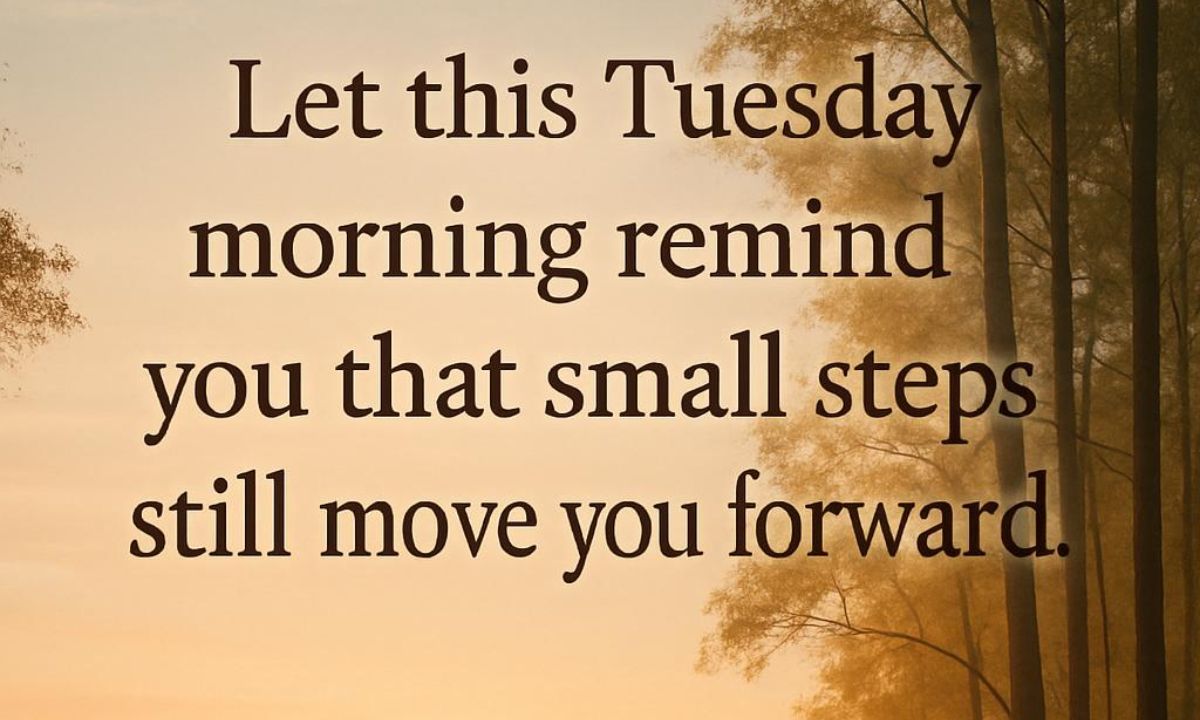 _Tuesday morning
