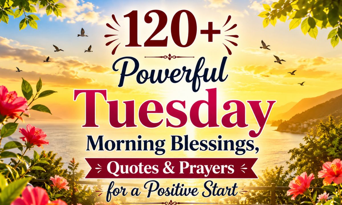 _Tuesday morning